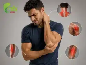 תמונה למאמר שרירים