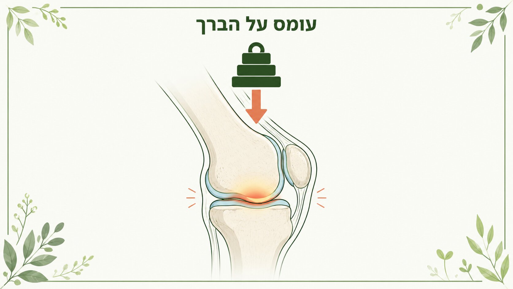 עודף משקל ועומס על הברך - כיצד משקל הגוף מגביר את הלחץ על המפרק