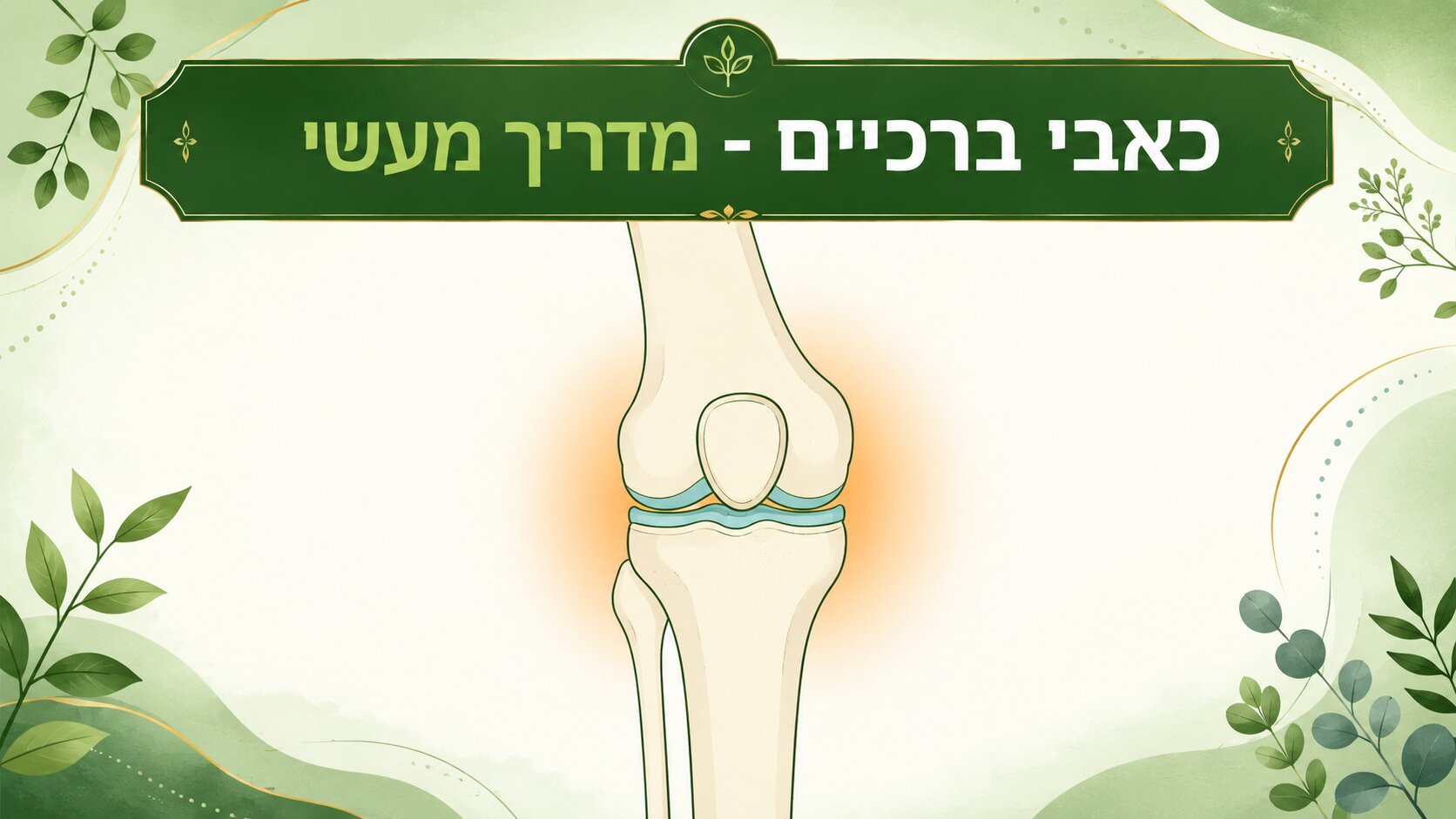 כאבי ברכיים - מדריך מעשי להבנת הגורמים, הסוגים והטיפול